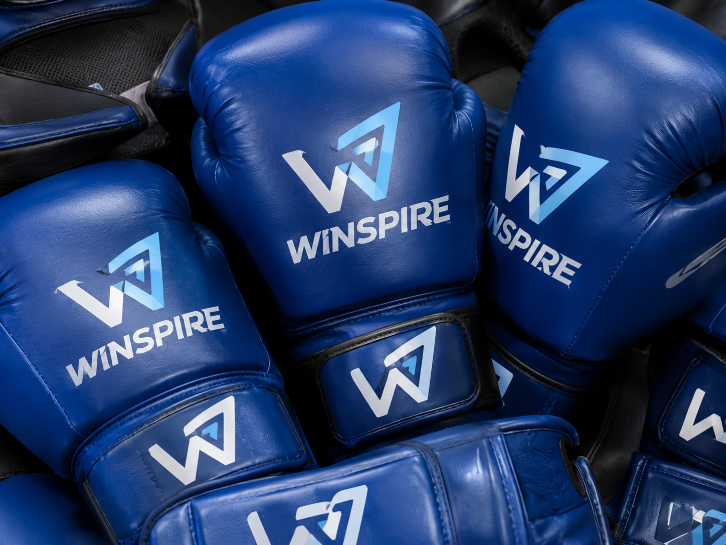 Winspire Sports boxing gloves
