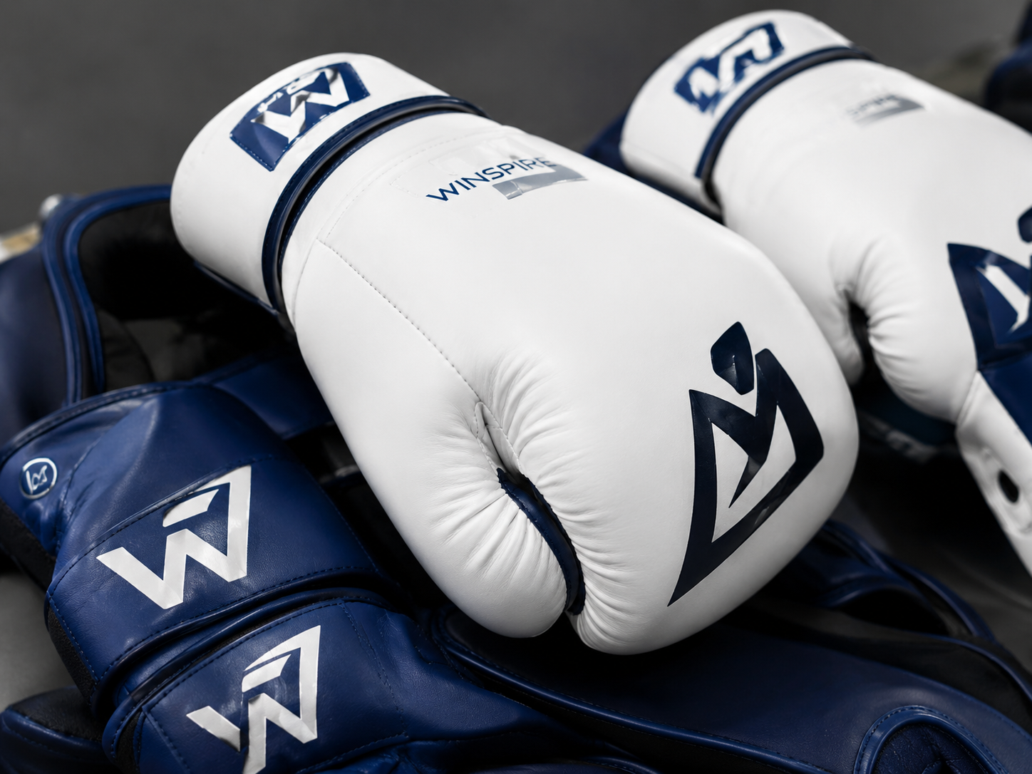 Winspire Sports boxing equipment